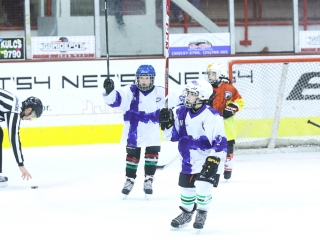 Világbajnoki mezőny a jégcsarnokban - fotó: Ónodi Zoltán