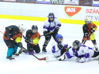 Világbajnoki mezőny a jégcsarnokban - fotó: Ónodi Zoltán