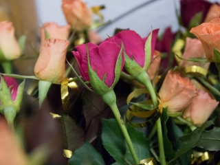 Nőnap a Városalapítóknál - fotó: Ónodi Zoltán