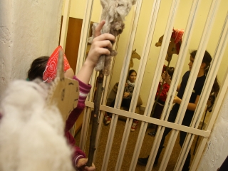 Forradalmi forgatag - MMK - fotó: Ónodi Zoltán