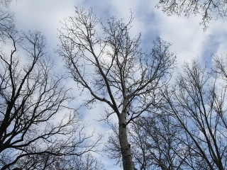 Elkészült a szaunapark - fotó: Sándor Judit