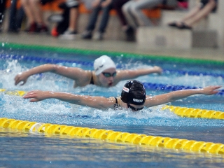 37. Arany Üst 3. nap - fotó: Sándor Judit