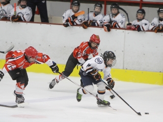 III. Steel Bulls Cup U11 - fotó: Sándor Judit