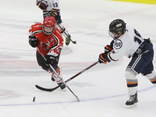 III. Steel Bulls Cup U11 - fotó: Sándor Judit