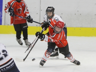 III. Steel Bulls Cup U11 - fotó: Sándor Judit