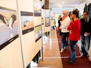 Mezőföld Fotókiállítás MMK - fotó: Ónodi Zoltán