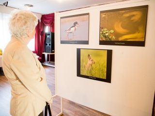 Mezőföld Fotókiállítás MMK - fotó: Ónodi Zoltán