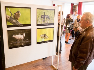 Mezőföld Fotókiállítás MMK - fotó: Ónodi Zoltán