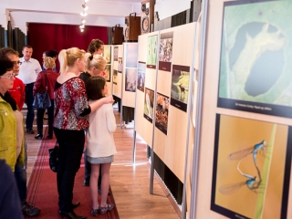 Mezőföld Fotókiállítás MMK - fotó: Ónodi Zoltán