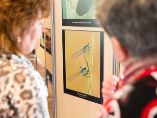 Mezőföld Fotókiállítás MMK - fotó: Ónodi Zoltán