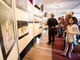 Mezőföld Fotókiállítás MMK - fotó: Ónodi Zoltán