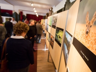 Mezőföld Fotókiállítás MMK - fotó: Ónodi Zoltán