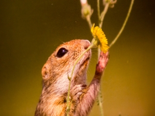 Mezőföld Fotókiállítás MMK - fotó: Ónodi Zoltán
