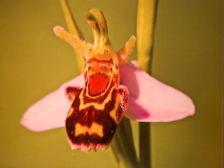 Mezőföld Fotókiállítás MMK - fotó: Ónodi Zoltán