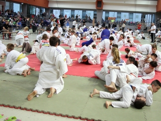 Judo - Nyuszi Kupa 2016 - fotó: Sándor Judit