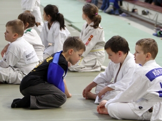 Judo - Nyuszi Kupa 2016 - fotó: Sándor Judit