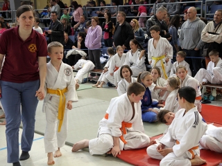 Judo - Nyuszi Kupa 2016 - fotó: Sándor Judit