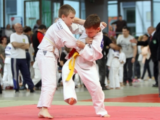 Judo - Nyuszi Kupa 2016 - fotó: Sándor Judit