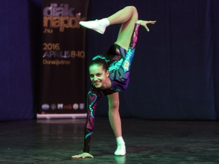 Fejér Megyei Diáknapok 2016 - Szombat - fotó: Sándor Judit