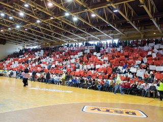 EHF továbbjutás: DKKA-Randers  - fotó: Ónodi Zoltán
