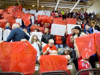 EHF továbbjutás: DKKA-Randers  - fotó: Ónodi Zoltán