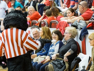 EHF továbbjutás: DKKA-Randers  - fotó: Ónodi Zoltán
