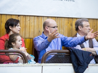 EHF továbbjutás: DKKA-Randers  - fotó: Ónodi Zoltán