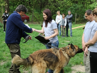 II. Születésnap a Duna Dog Center Kutyaiskolában - fotó: Ónodi Zoltán