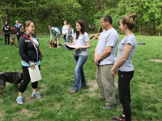 II. Születésnap a Duna Dog Center Kutyaiskolában - fotó: Ónodi Zoltán