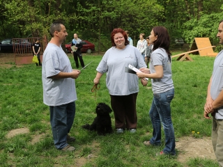 II. Születésnap a Duna Dog Center Kutyaiskolában - fotó: Ónodi Zoltán