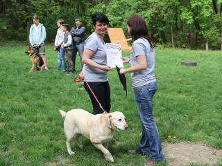 II. Születésnap a Duna Dog Center Kutyaiskolában - fotó: Ónodi Zoltán