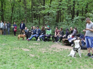 II. Születésnap a Duna Dog Center Kutyaiskolában - fotó: Ónodi Zoltán