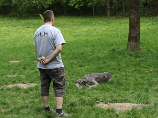 II. Születésnap a Duna Dog Center Kutyaiskolában - fotó: Ónodi Zoltán