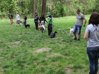 II. Születésnap a Duna Dog Center Kutyaiskolában - fotó: Ónodi Zoltán