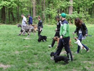 II. Születésnap a Duna Dog Center Kutyaiskolában - fotó: Ónodi Zoltán