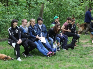 II. Születésnap a Duna Dog Center Kutyaiskolában - fotó: Ónodi Zoltán