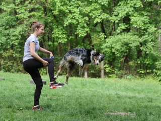 II. Születésnap a Duna Dog Center Kutyaiskolában - fotó: Ónodi Zoltán