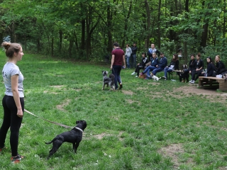 II. Születésnap a Duna Dog Center Kutyaiskolában - fotó: Ónodi Zoltán