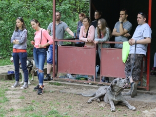 II. Születésnap a Duna Dog Center Kutyaiskolában - fotó: Ónodi Zoltán