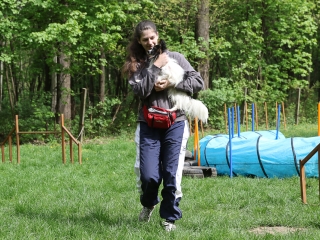 II. Születésnap a Duna Dog Center Kutyaiskolában - fotó: Ónodi Zoltán