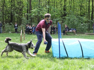 II. Születésnap a Duna Dog Center Kutyaiskolában - fotó: Ónodi Zoltán