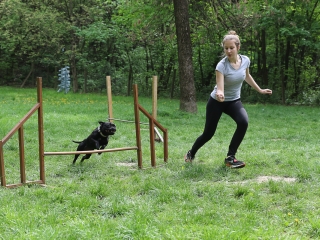 II. Születésnap a Duna Dog Center Kutyaiskolában - fotó: Ónodi Zoltán