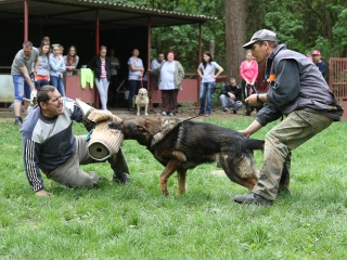 II. Születésnap a Duna Dog Center Kutyaiskolában - fotó: Ónodi Zoltán