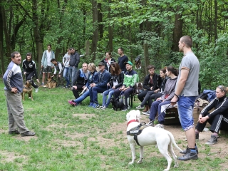 II. Születésnap a Duna Dog Center Kutyaiskolában - fotó: Ónodi Zoltán