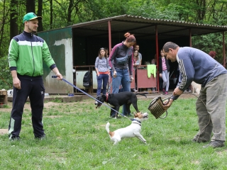II. Születésnap a Duna Dog Center Kutyaiskolában - fotó: Ónodi Zoltán