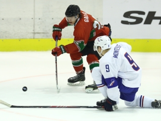 Magyarország - Franciaország jégkorong mérkőzés - fotó: Ónodi Zoltán