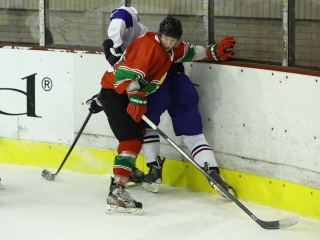 Magyarország - Franciaország jégkorong mérkőzés - fotó: Ónodi Zoltán