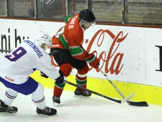 Magyarország - Franciaország jégkorong mérkőzés - fotó: Ónodi Zoltán