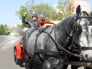 Rendvédelmi nap 2016 - fotó: Sándor Judit