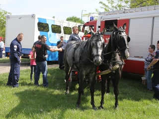 Rendvédelmi nap 2016 - fotó: Sándor Judit